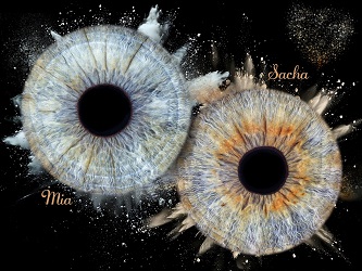 Effet explosion de fumée 